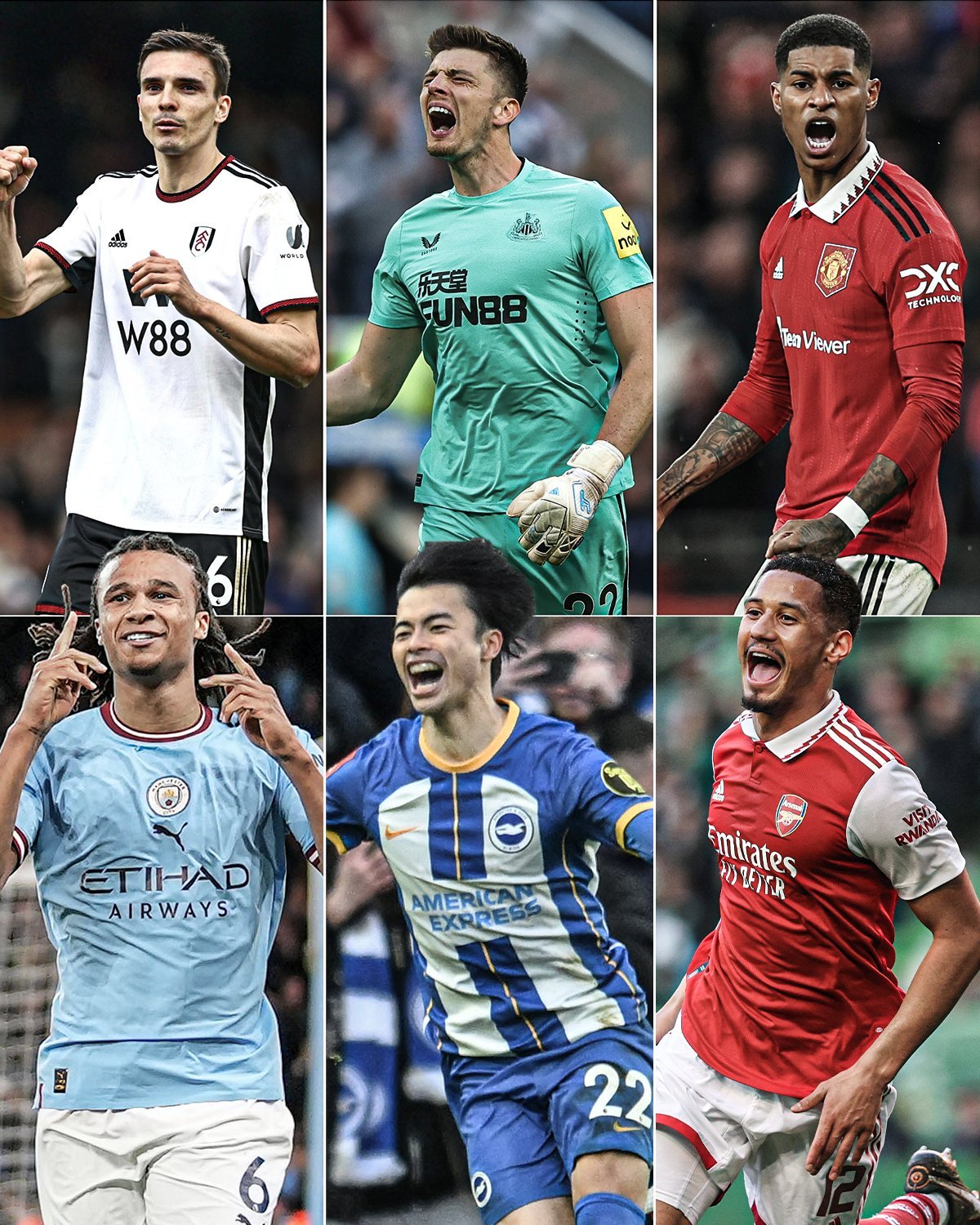 的全面成熟 的全面成熟