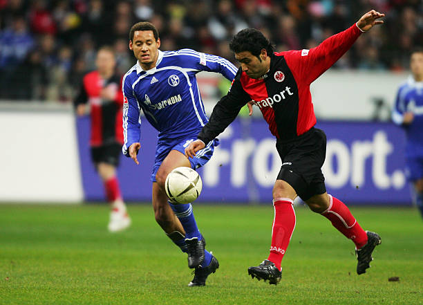 技术实力的 技术实力的